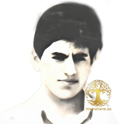 შუქრი კვიციანი 1975-1993წწ. გარდ. გალი აფხაზეთი დაბ. სოფ. ვარჩე  გულრიფში, აფხაზეთი.