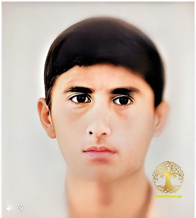 თენგიზ ჩხეტია 1976-92წწ. გარდ. აფხაზეთი დაბ. ქ. გაგრა აფხაზეთი 