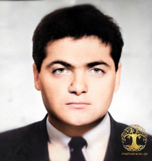 თენგიზ ნემსიწვერიძე 1967-92წ. გარდ.  სოფ. ახალდაბა აფხაზეთში დაბ. სოფ. ახალდაბა ოჩამჩირე