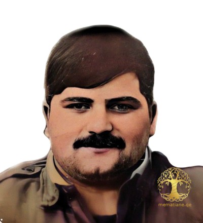 ალექსანდრე სულამანიძე 1969-92წწ გარდ. 23 წლის აფხაზეთი დაბ. თერჯოლა