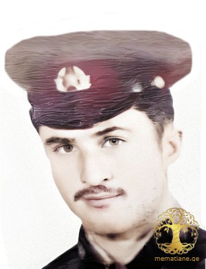 ავთანდილ (ტელმან) კვიციანი გარდ. 1993წ. სოფ. ტამიში დაბ. სოფ. აჟარა გულრიფში აფხაზეთი