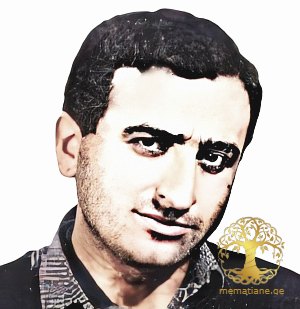 ავთანდილ გოგინავა 1993წ. გარდ. ქ. სოხუმი აფხაზეთი დაბ. სოფ. ფშავი, გულრიფში, აფხაზეთი.