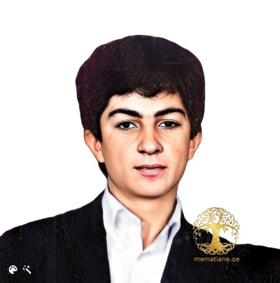 დავით ბარბაქაძე 1972-93წწ დაკარგ. 21 წლის, სოფ. ცაგერა, აფხაზეთი, ეროვნული გვარდიის თიანეთის ბატალიონი. დაბ.  სოფ.აფენი, ლაგოდეხი, კახეთი