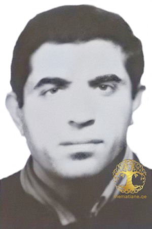 ელგუჯა ქობალია 1962-93წწ. გარდ. სოფ. მერკულა ოჩამჩირე დაბ. სოფ. მერკულა ოჩამჩირე აფხაზეთი