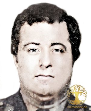 ემირ შონია 1950-1993წწ. გარდ. აფხაზეთი დაბ. ქ. გალი, აფხაზეთი.