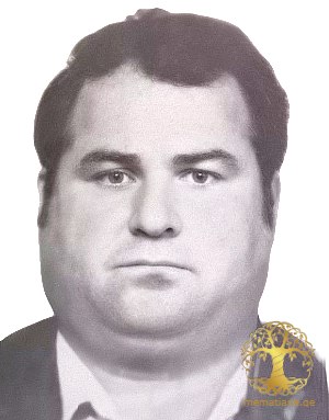 ენვერ ნემსიწვერიძე 1954-93წწ. გარდ. სოფ. მოქვი ოჩამჩირე  დაბ. სოფ. ცაგერა ოჩამჩირე აფხაზეთი