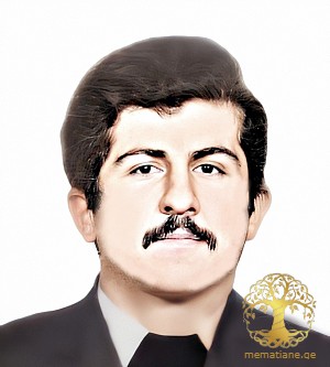 გელა მიშელაშვილი გურამის ძე 1962-1993წწ.   13/03/93წწ გარდ. ლაბრა აფხაზეთი, შავნაბადა დაბ. თბილისი