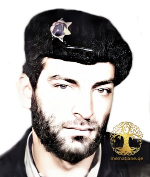 ჯუმბერ მჭედლიშვილი 1966-1993წწ. გარდ. აფხაზეთი დაბ. თბილისი.