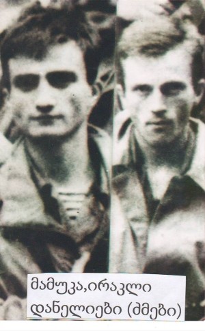 მამუკა დანელია 1965-93წწ გარდ. აფხაზეთი დ. თბილისი
