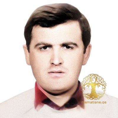 მამუკა ნიკოლეიშვილი გარდ. საომარ მოქმედებებში მცხვრ. რუსთავი