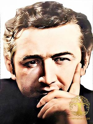 მიხეილ ჭავჭავაძე 1944-1995წწ. გარდ. 51 წლის, მხატვარი, მეტეხის თეატრის მთავარი მხატვარი წარმ. ყვარელი კახეთი