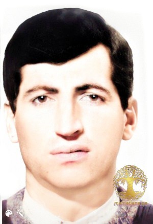 პაატა არაბული გარდ. 01/06/1993 ზემო კინდღიში ოჩამჩირე აფხაზეთი თეთრი არწივი დაბ. სოფ. თრანი თიანეთი 