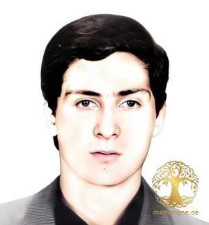 რევაზ ხუბაშვილი გარდ. აფხაზეთი 