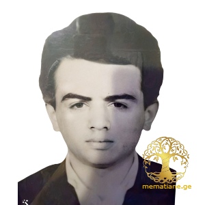 სალთხუციშვილი ვასილ 1973-1993წწ გარდ. ტამიში აფხაზეთი დაბ. სოფ. მარტყოფი, გარდაბანი