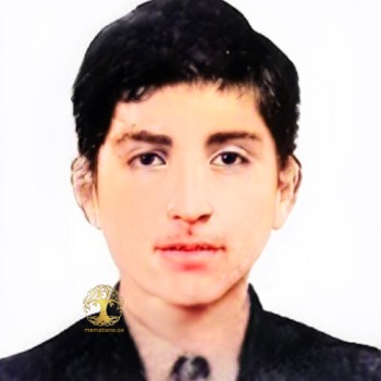 სამოელ (ბაჩო) ჭყოიძე 1972-94წწ გარდ. აფხაზეთი დაბ. სოფ. ქვები ხარაგაული