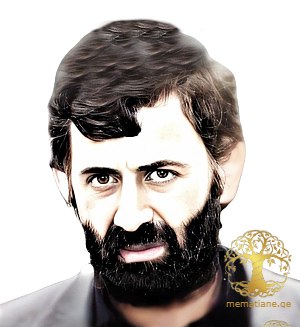 ტარიელ (ენვერი) აბულაძე 1941-1993წწ. გარდ. ვარჩე გულრიფში დაბ. ვარჩე გულრიფში აფხაზეთი.