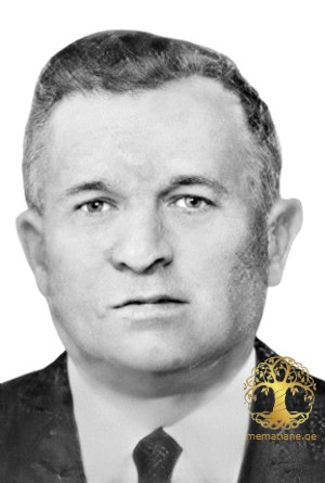 ვასილ იაკობის ძე ტარანოვსკი  1907-1979წწ  სამამულო ომის გმირი (1941-1945)  თბილისი, ქართლი.