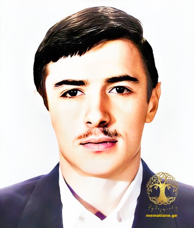 ვიტალი ვარდანიძე 1971-93წწ. გარდ. სოფ. შრომა აფხაზეთი დაბ. თბილისი