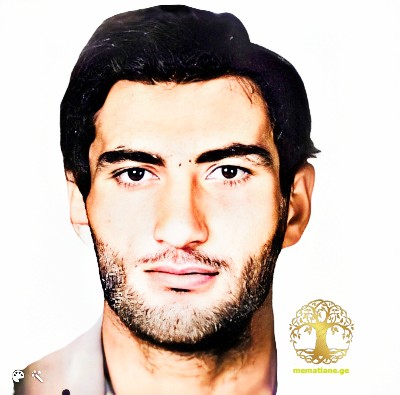 ზაზა ომარის ძე წიწიკაშვილი 1966-01/03/93წწ გარდ. სოფ. ლაბრა აფხაზეთი დაბ. სოფ. უფლისციზე გორი