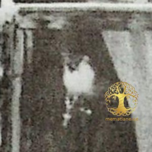 წულუკიძე სვიმონ (სამარაღდონ ყარამანის ძე) არქიმანდრიტი