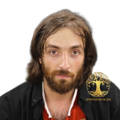 მიხაელენკო  ნიკოლოზ მგალობელი