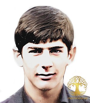 შერმადინ ქურავა გარდ. აფხაზეთი 
