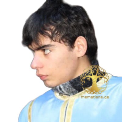 გამგებელი