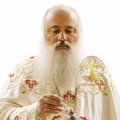გვრიტიშვილი
