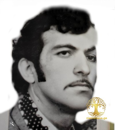 ინდიკო დარსალია დაკარგულია აფხაზეთის ომი 1992-93წწ ფონდი მოლოდინი