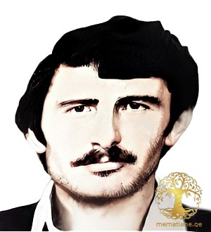 სლავიკ შაკაია 1954-1993წწ. დაკარგ. აფხაზეთი დაბ. სოფ. აჩიგვარა, გალი, აფხაზეთი.
